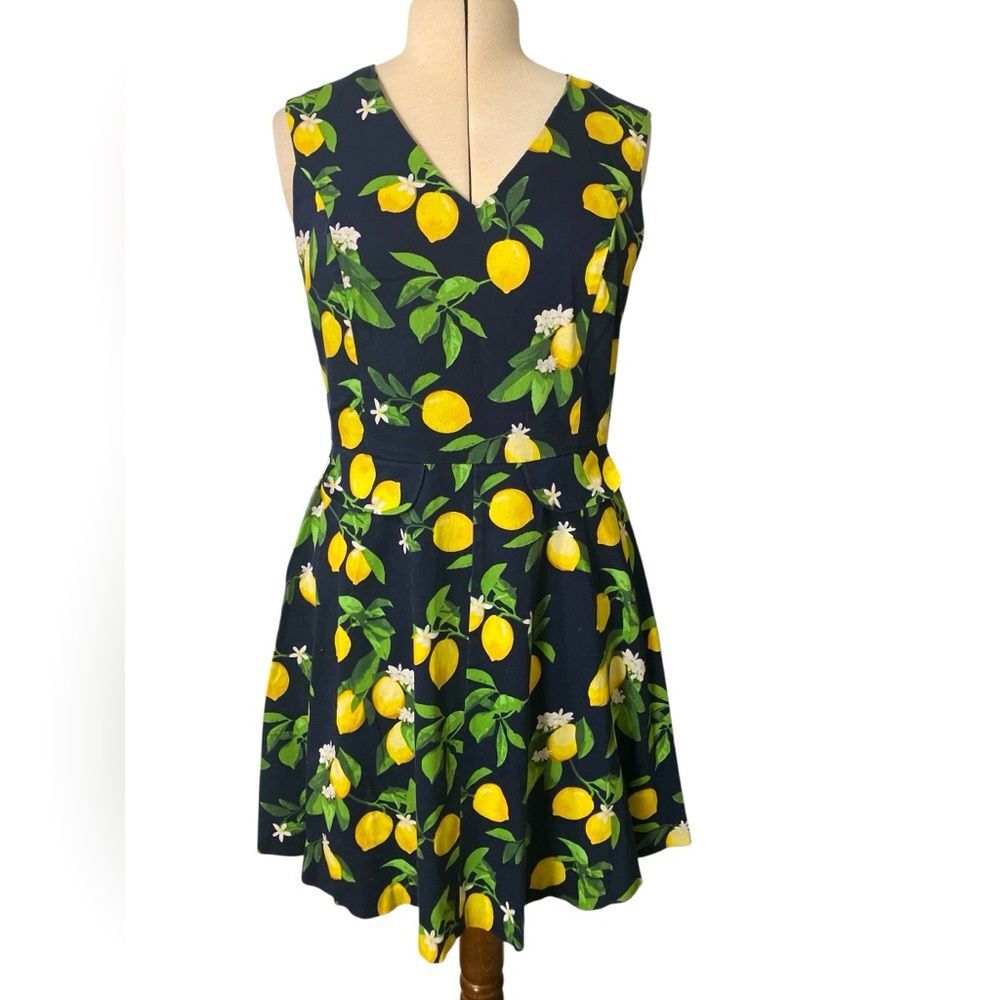Lemon Be by Chetta B Dress Size 14 Cute Fruit A Line Summer Lemonade Stretch